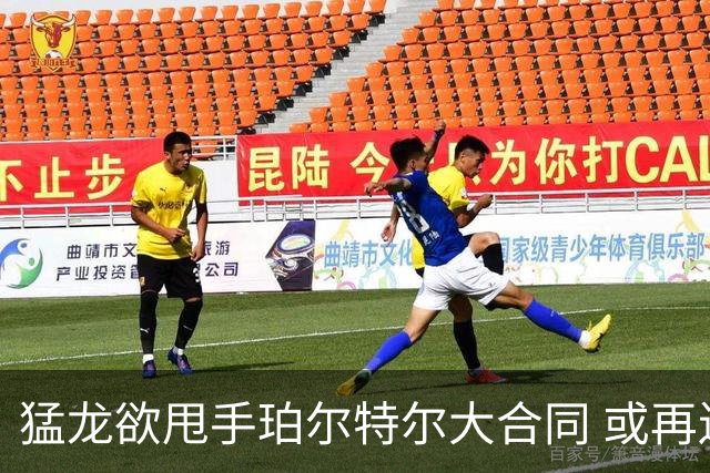 猛龙欲甩手珀尔特尔大合同 或再送首轮选秀权